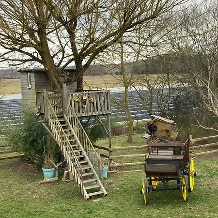 Ingalls House Kamp alanı *