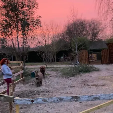 Kamp alanı Ingalls House *